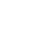 developicon